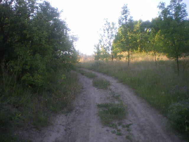 М'якеньківка з panoramio.com - Мякеньковка