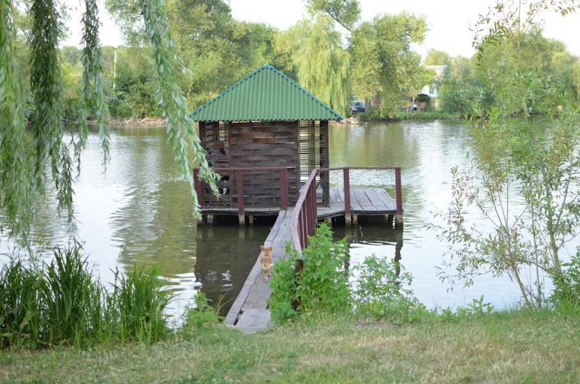 Мала Севастянівка з panoramio.com - Мала Севастянівка