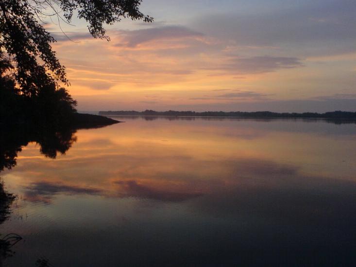 Пекарі з panoramio.com - Пекарі