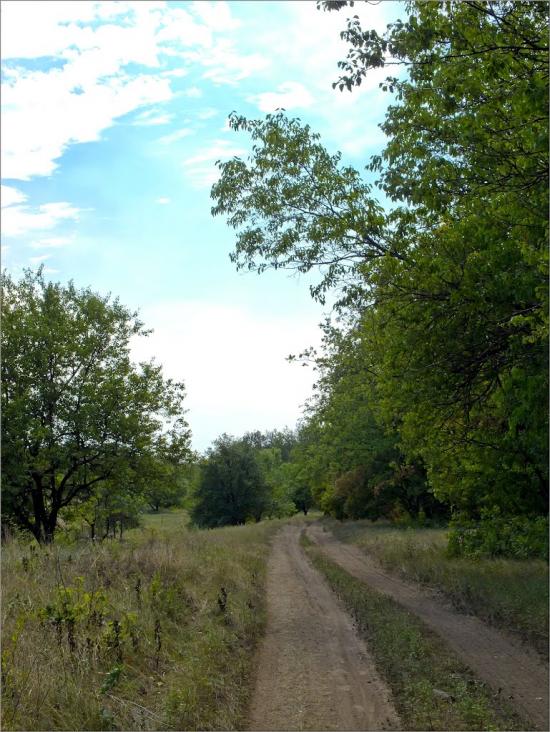 Глеюватка з panoramio.com - Глееватка