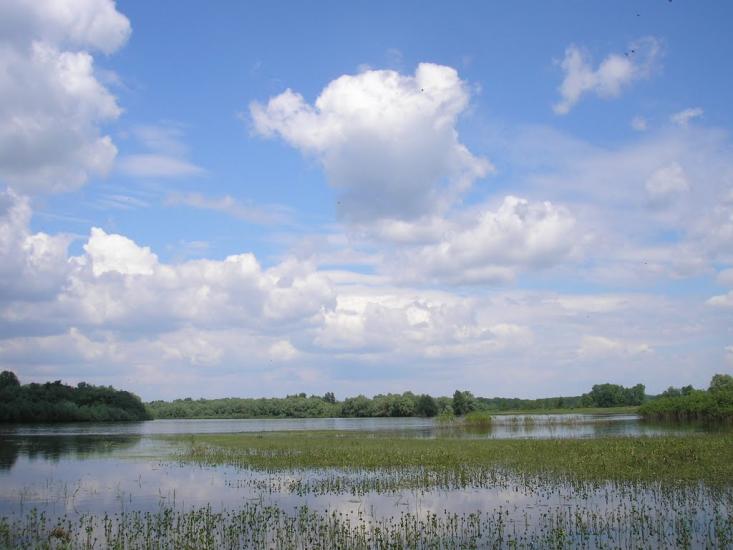 Велике Устя з panoramio.com - Велике Устя