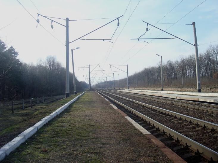 Шевченка з panoramio.com - Шевченка