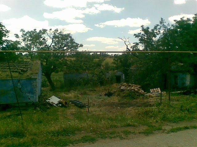 Любопіль з panoramio.com - Любополь