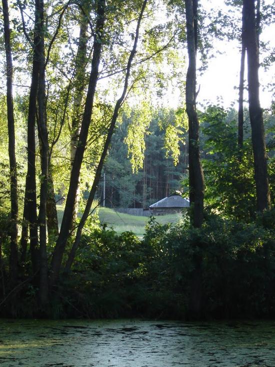 Нові Яриловичі з panoramio.com - Новые Ярыловичи