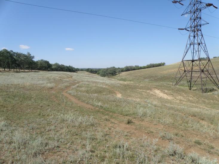 Княгинівка з panoramio.com - Княгиневка