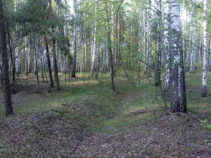 Короп з panoramio.com - Короп
