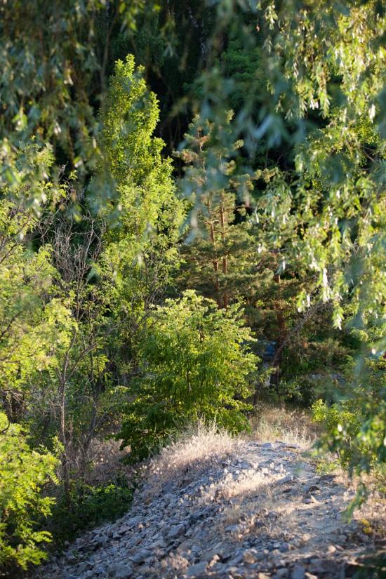 Пекарі з panoramio.com - Пекарі