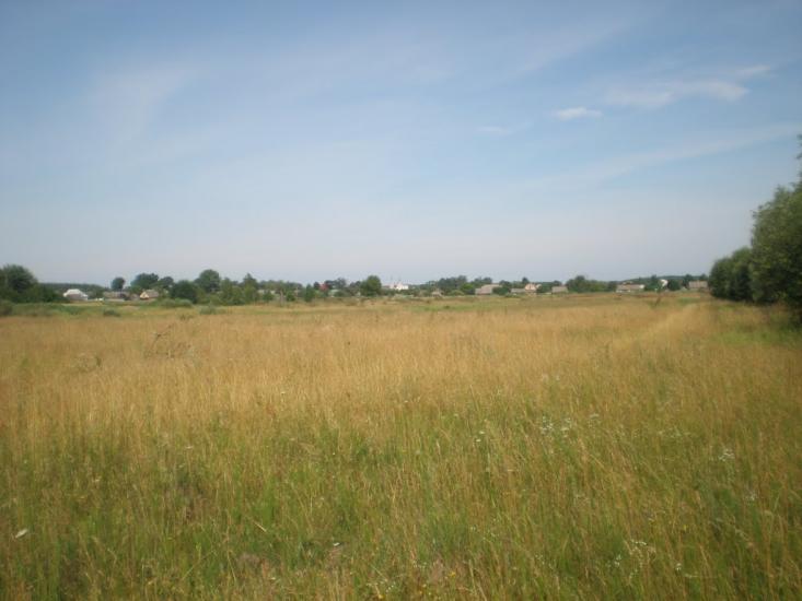Нова Буда з panoramio.com - Нова Буда