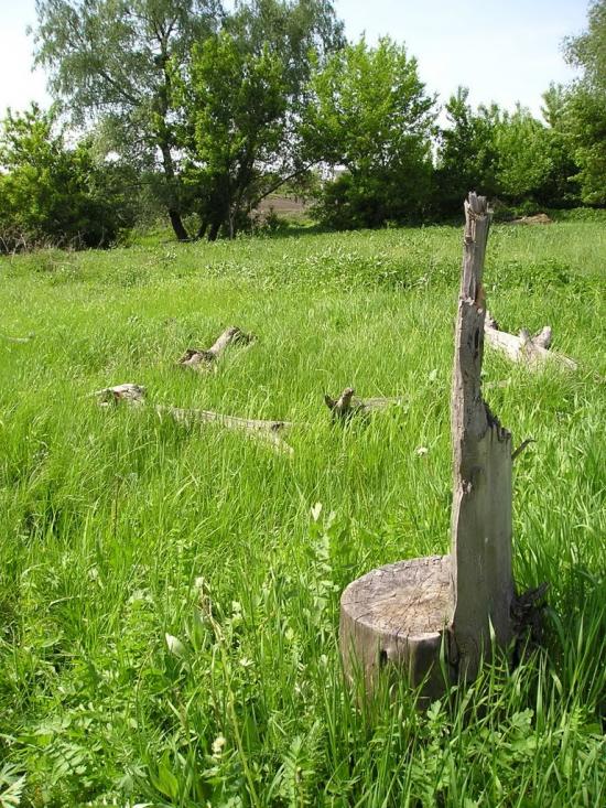 Черкаська Лозова з panoramio.com - Черкасская Лозовая
