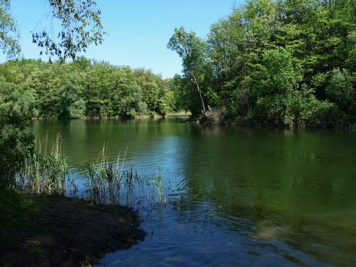 Халеп'я з panoramio.com - Халепье