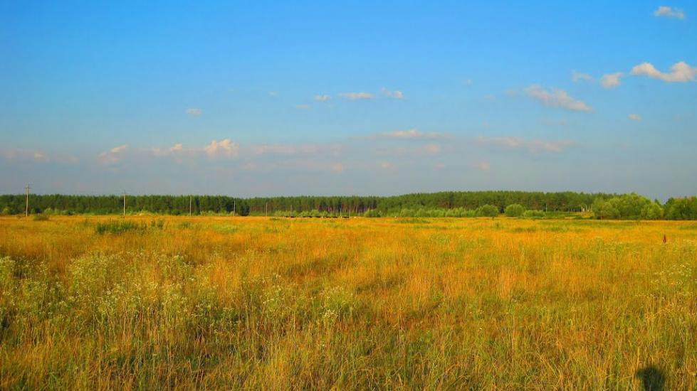 Богданівка з panoramio.com - Богдановка