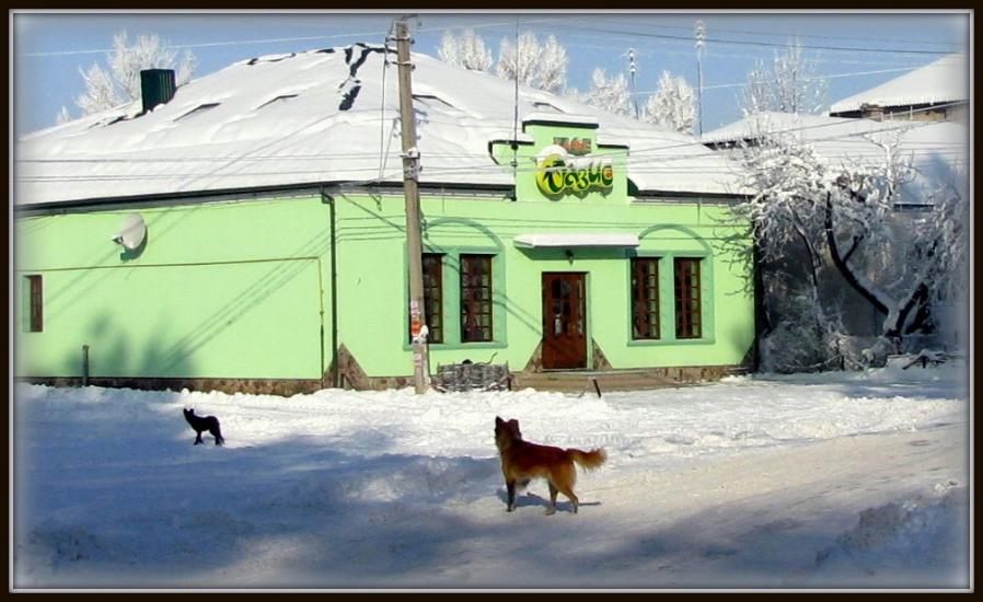 Букачівці з panoramio.com - Букачевцы