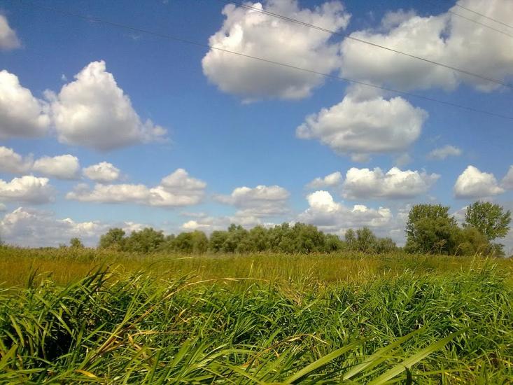 Піщанівка з panoramio.com - Песчановка