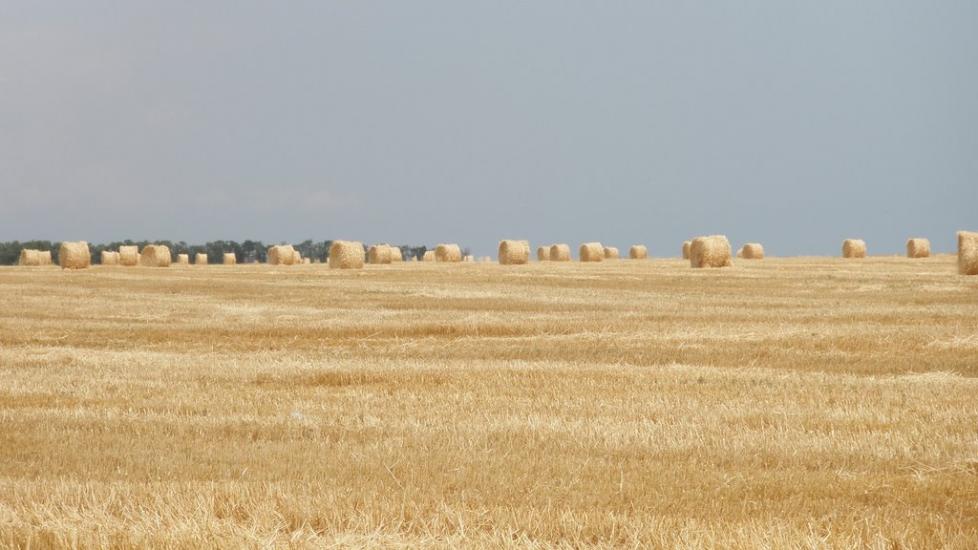 Степанівка Перша з panoramio.com - Степанівка Перша