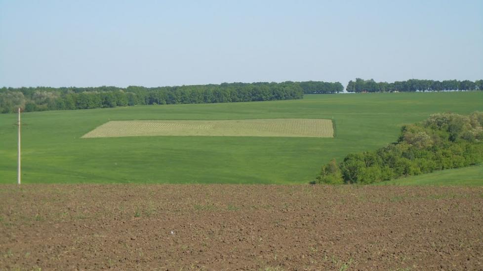 Велика Рибиця з panoramio.com - Великая Рыбица