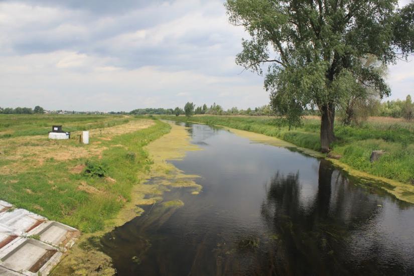 Коржі з panoramio.com - Коржі