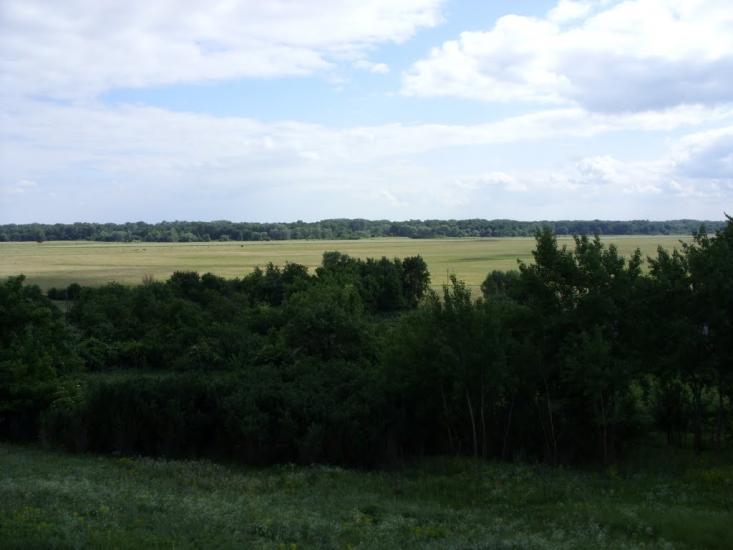Приліпка з panoramio.com - Прилипка