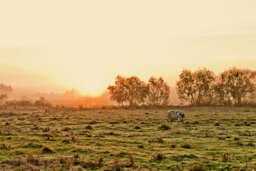 Знаменівка з panoramio.com - Знаменовка