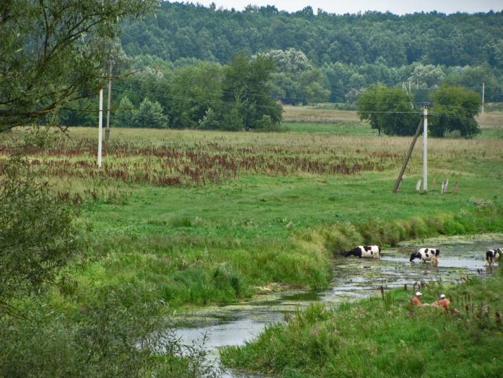 Озерне з panoramio.com - Озерне