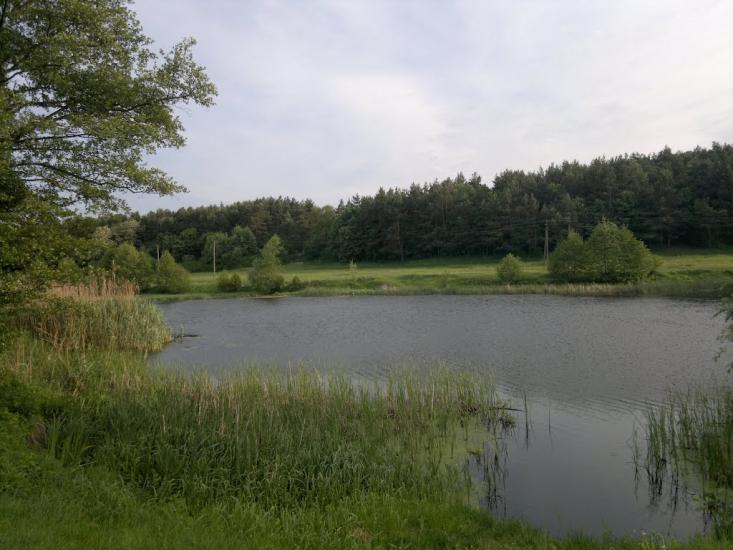 Богуслав з panoramio.com - Богуслав