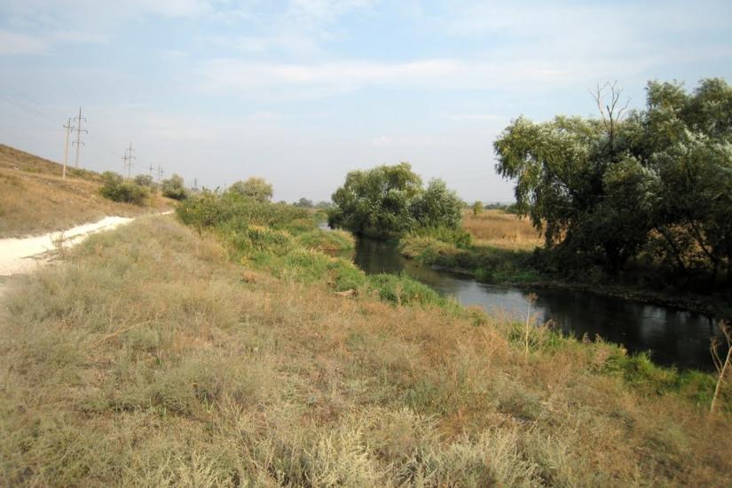 Весела Тарасівка з panoramio.com - Весела Тарасівка