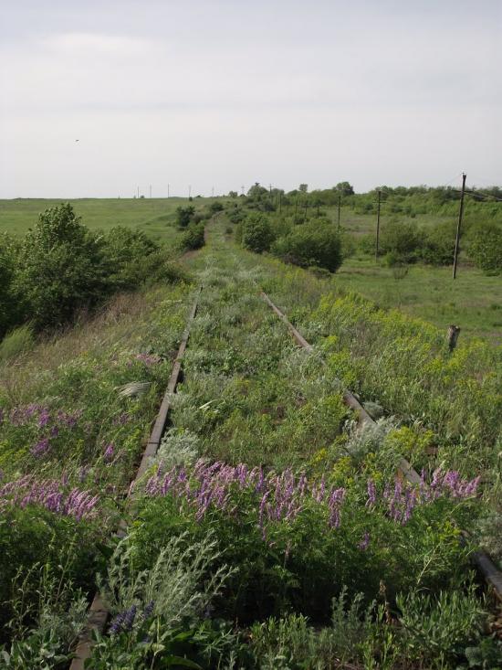 Кіровське з panoramio.com - Кировское