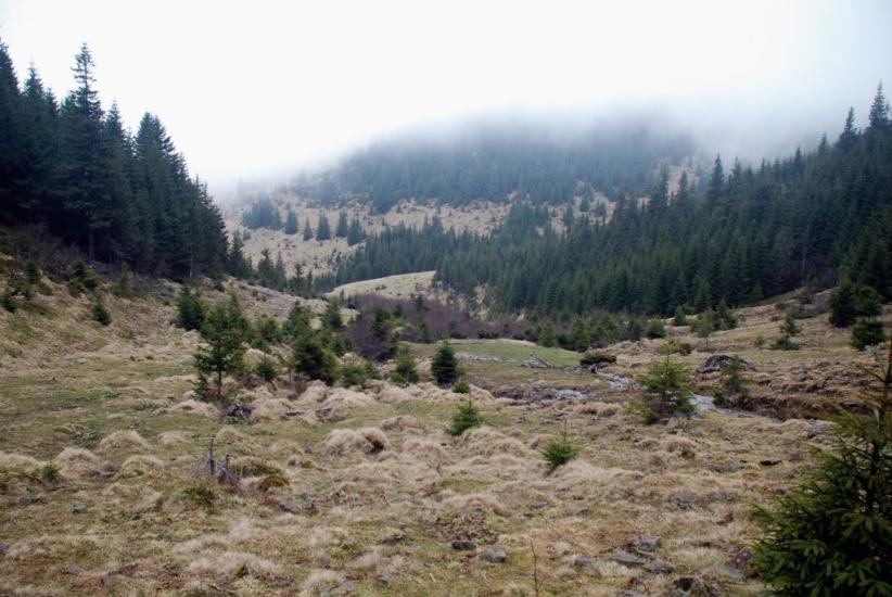 Сітний з panoramio.com - Ситный