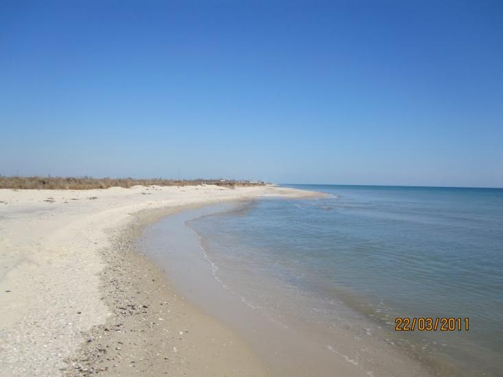 Більшовик з panoramio.com - Большевик