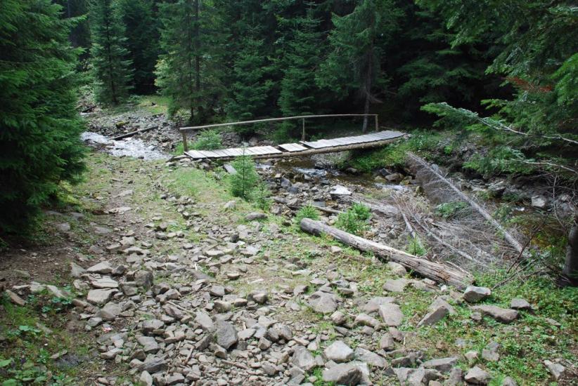 Максимець з panoramio.com - Максимец