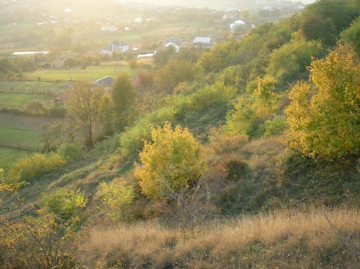 Сільце з panoramio.com - Сельцо