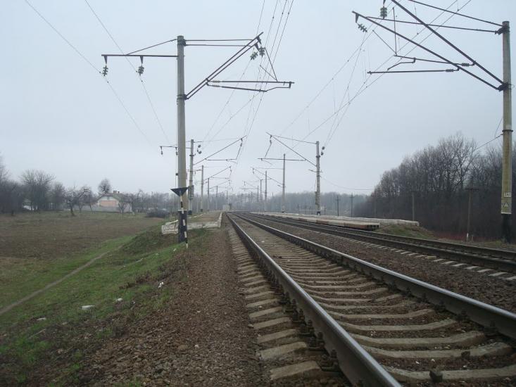 Васютинці з panoramio.com - Васютинцы