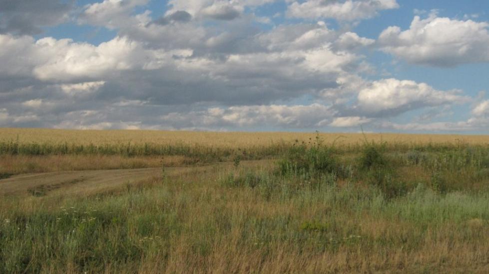 Броска з panoramio.com - Броска