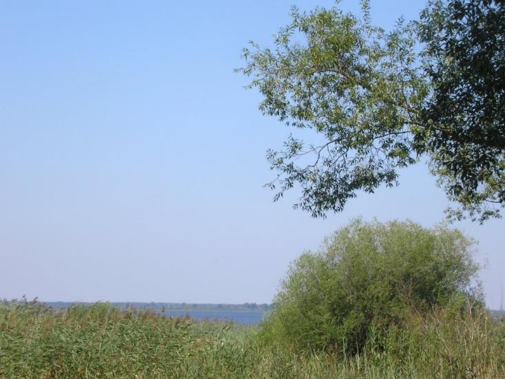 Пульмо з panoramio.com - Пульмо