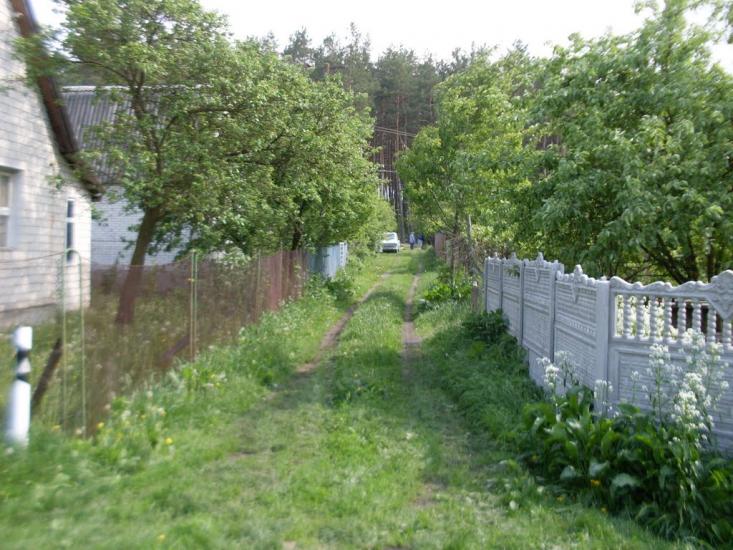 Тарасенки з panoramio.com - Тарасенки