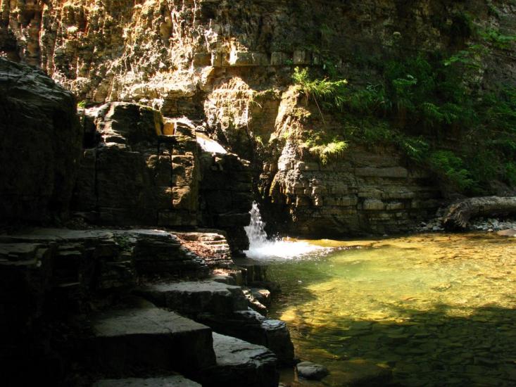Букове з panoramio.com - Букове