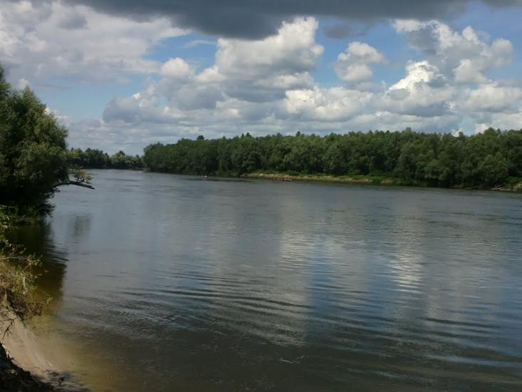 Вища Дубечня з panoramio.com - Высшая Дубечня
