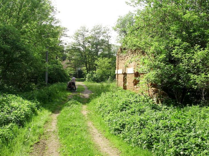 Черниця з panoramio.com - Черниця
