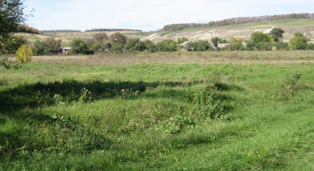 Хворостянівка з panoramio.com - Хворостяновка