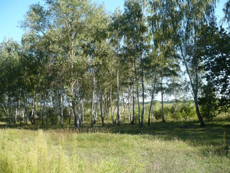 Усть-Лип'янка з panoramio.com - Усть-Липянка