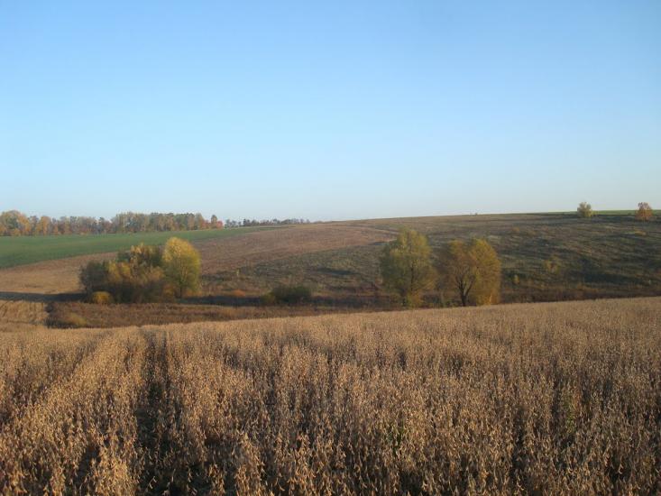 Томашівка з panoramio.com - Томашовка