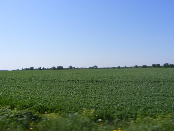 Ходосиха з panoramio.com - Ходосиха