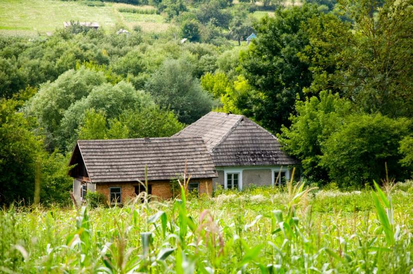 Великий Карабчіїв з panoramio.com - Velykyy Karabchiyiv