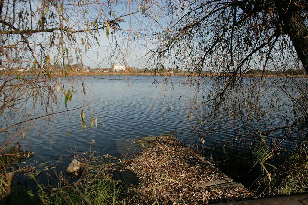 Час над рікою пливе... - Любар