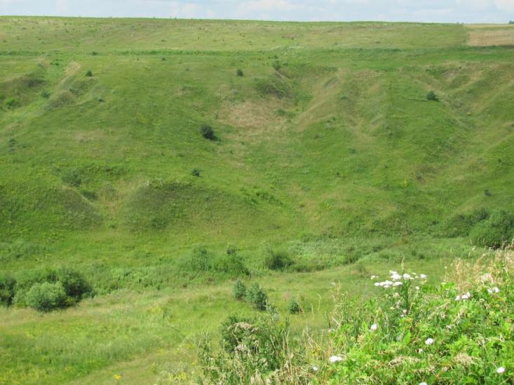 Дермань Перша з panoramio.com - Дермань Перша