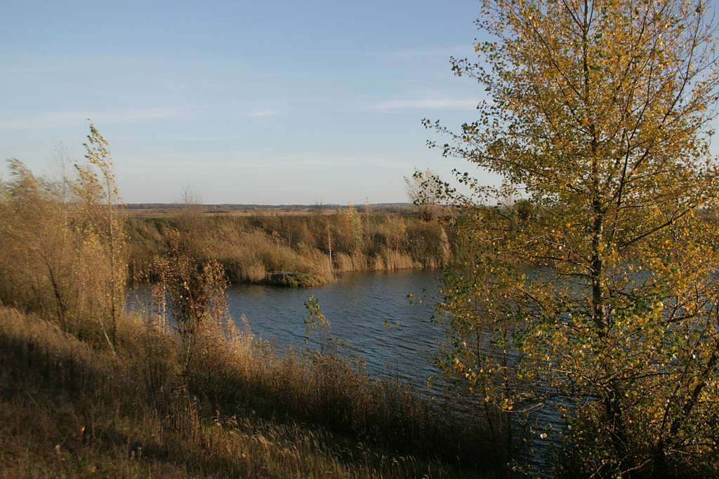 Рідні оку краєвиди - Любар