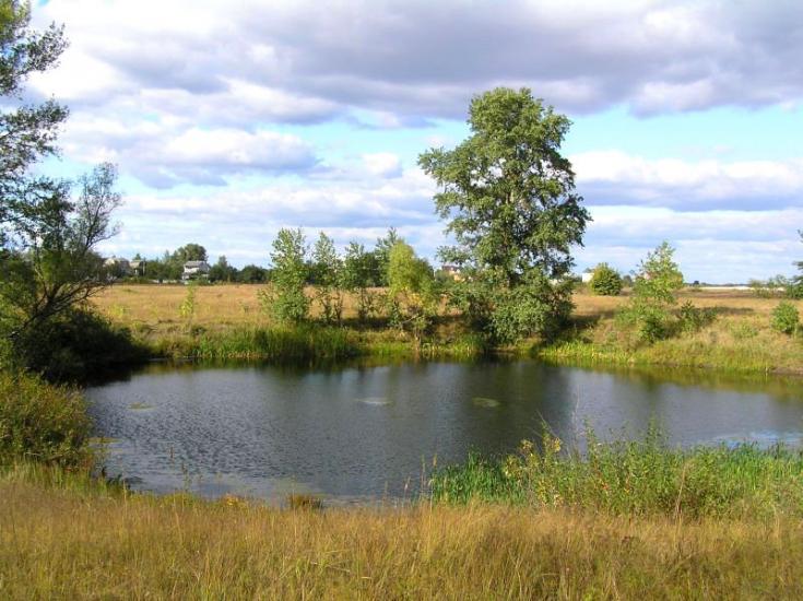 Нижча Дубечня з panoramio.com - Низшая Дубечня