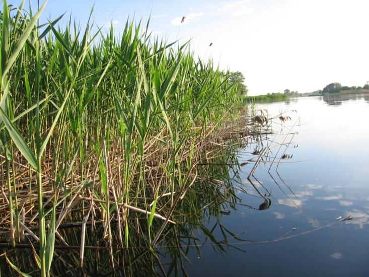 Печеніги з panoramio.com - Печениги