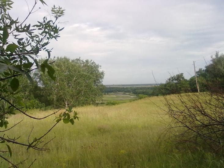 М'якеньківка з panoramio.com - Мякеньковка