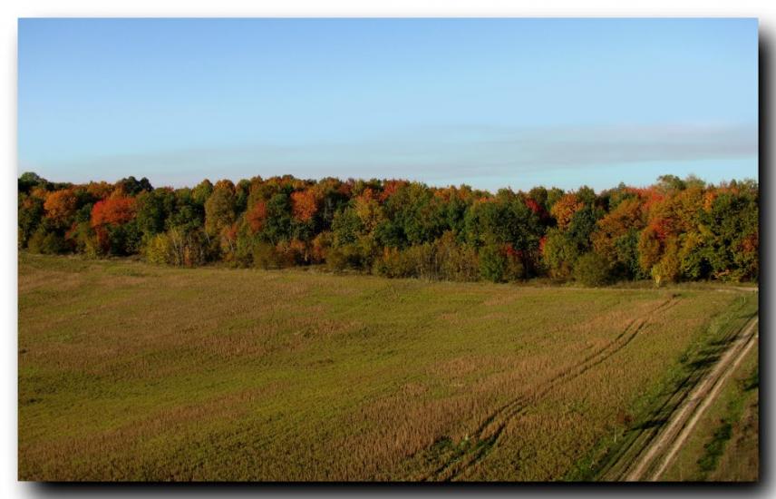 Букачівці з panoramio.com - Букачівці