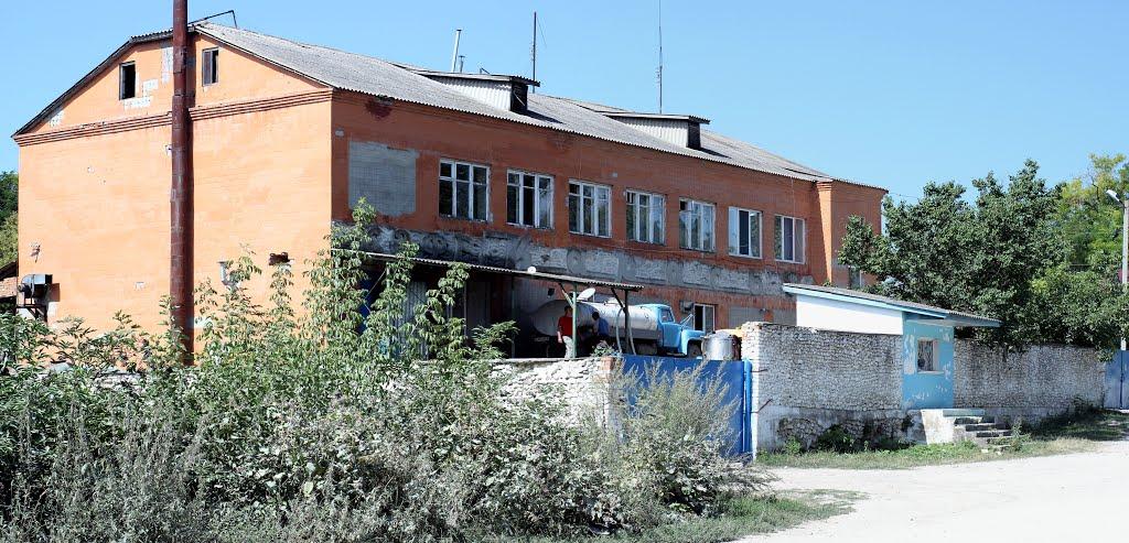 Нігин з panoramio.com - Nigyn